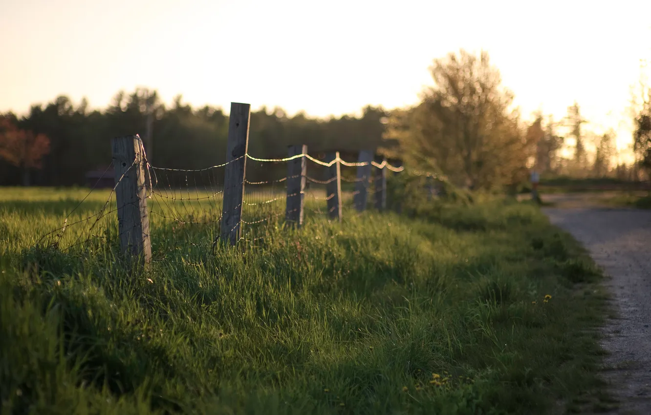 Photo wallpaper road, grass, nature, the fence