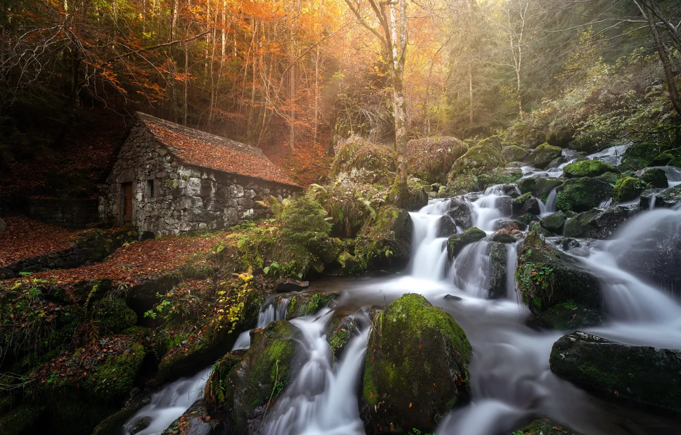 Photo wallpaper autumn, forest, house, river, France, waterfall, cascade, water mill