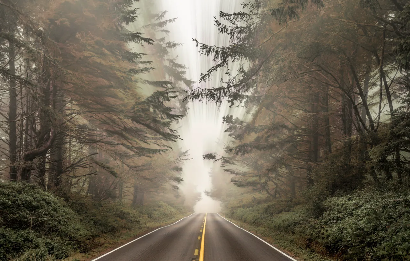 Photo wallpaper road, autumn, forest, nature, fog