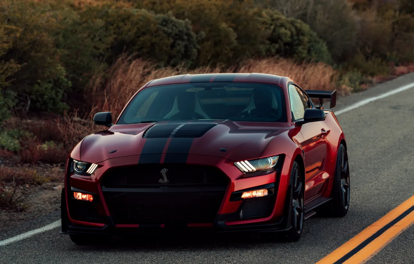 Photo wallpaper vegetation, Mustang, Ford, Shelby, GT500, bloody, 2019