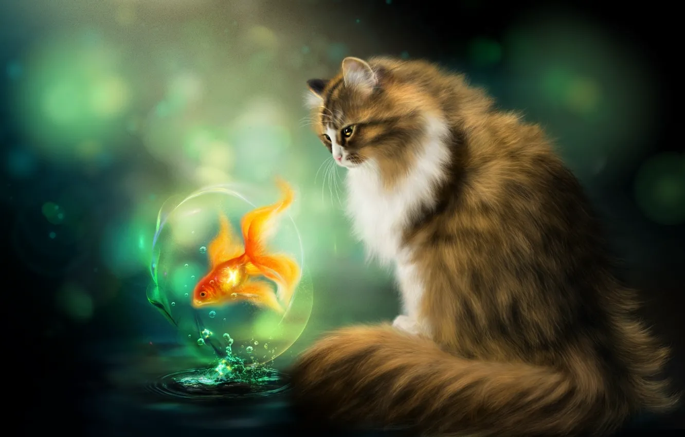 Photo wallpaper cat, goldfish, Photoshop, cat, fish, Нelena