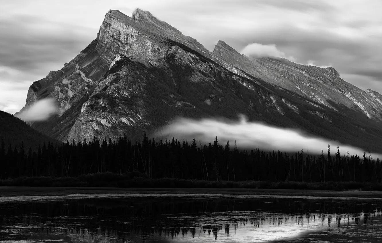 Photo wallpaper trees, mountains, nature, river, rocks, Canada, black and white, monochrome