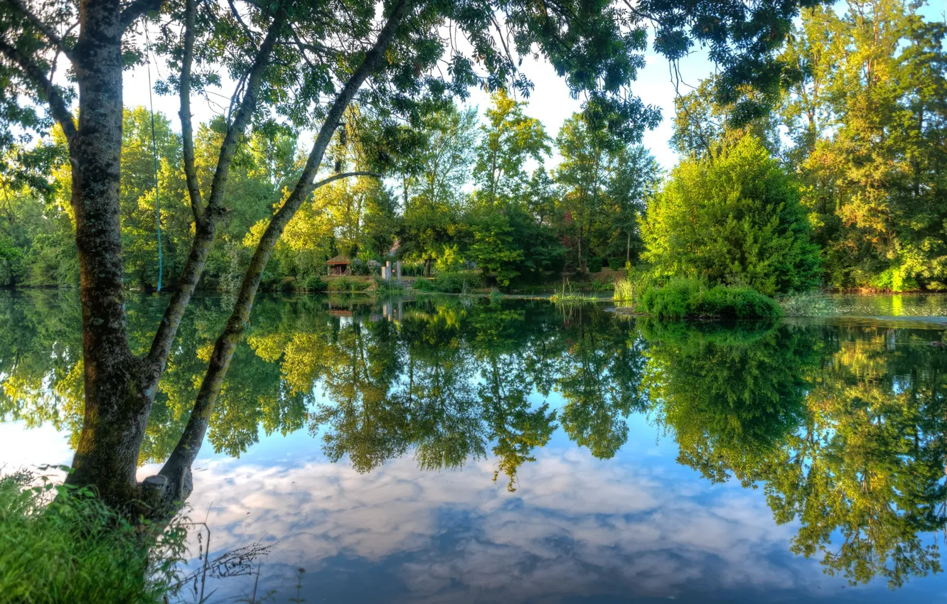 Photo wallpaper Reflection, Lake, Trees