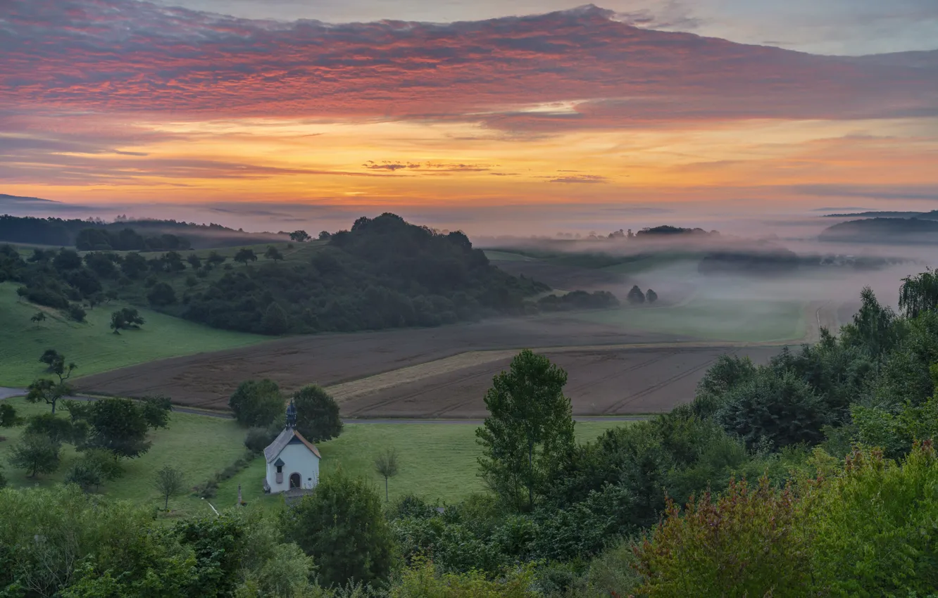 Photo wallpaper field, clouds, trees, fog, dawn, hills, view, dal