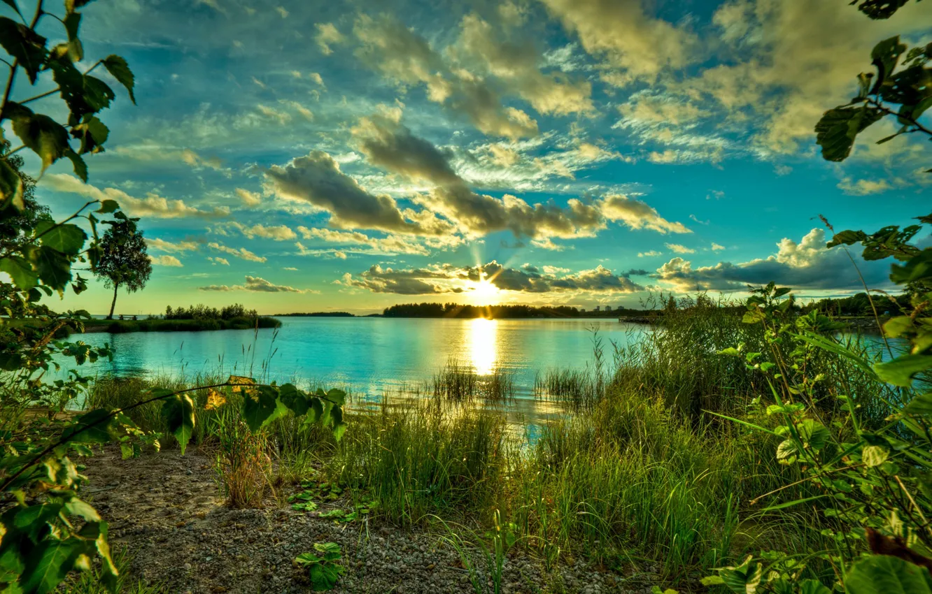 Photo wallpaper greens, the sky, grass, clouds, trees, nature, lake, dawn