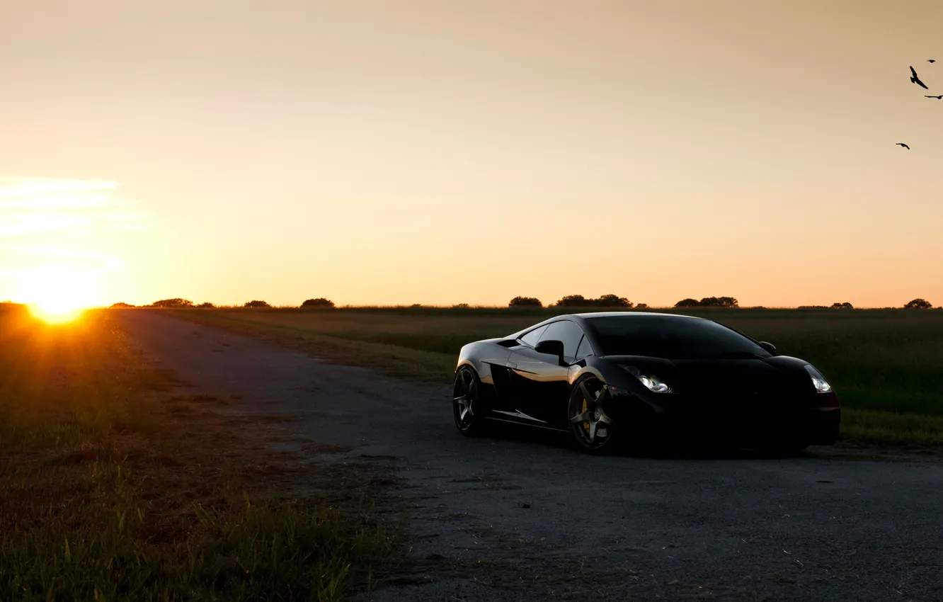Photo wallpaper the sun, Lamborghini, cars, Gallardo, cars, auto wallpapers, car Wallpaper