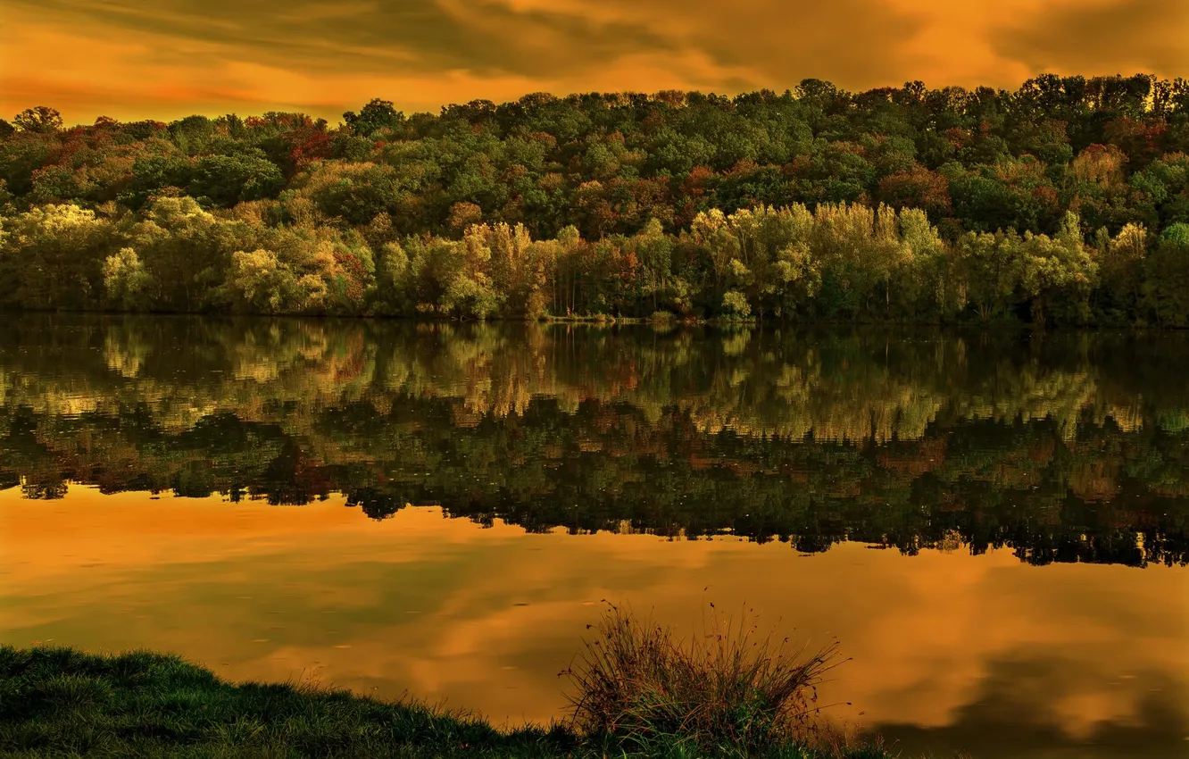 Photo wallpaper autumn, forest, the sky, clouds, trees, reflection, river, glow