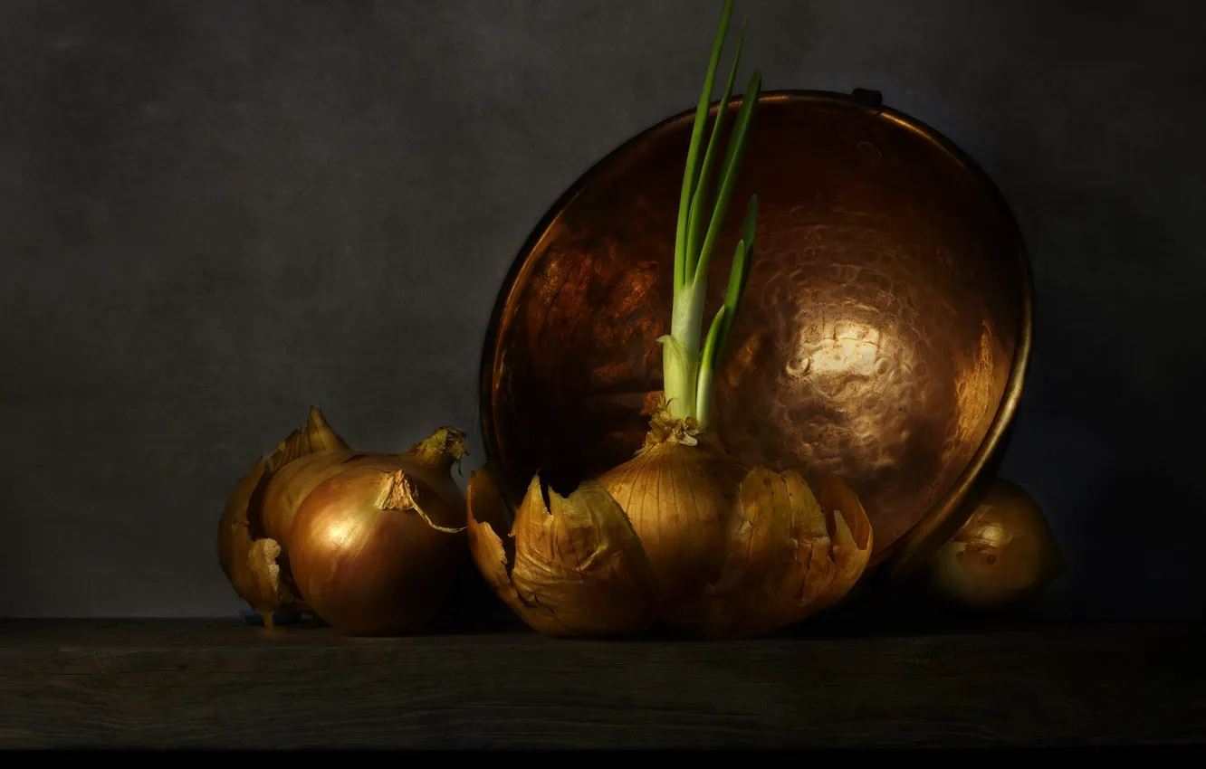 Photo wallpaper the dark background, bow, dishes, copper, bowl, husk