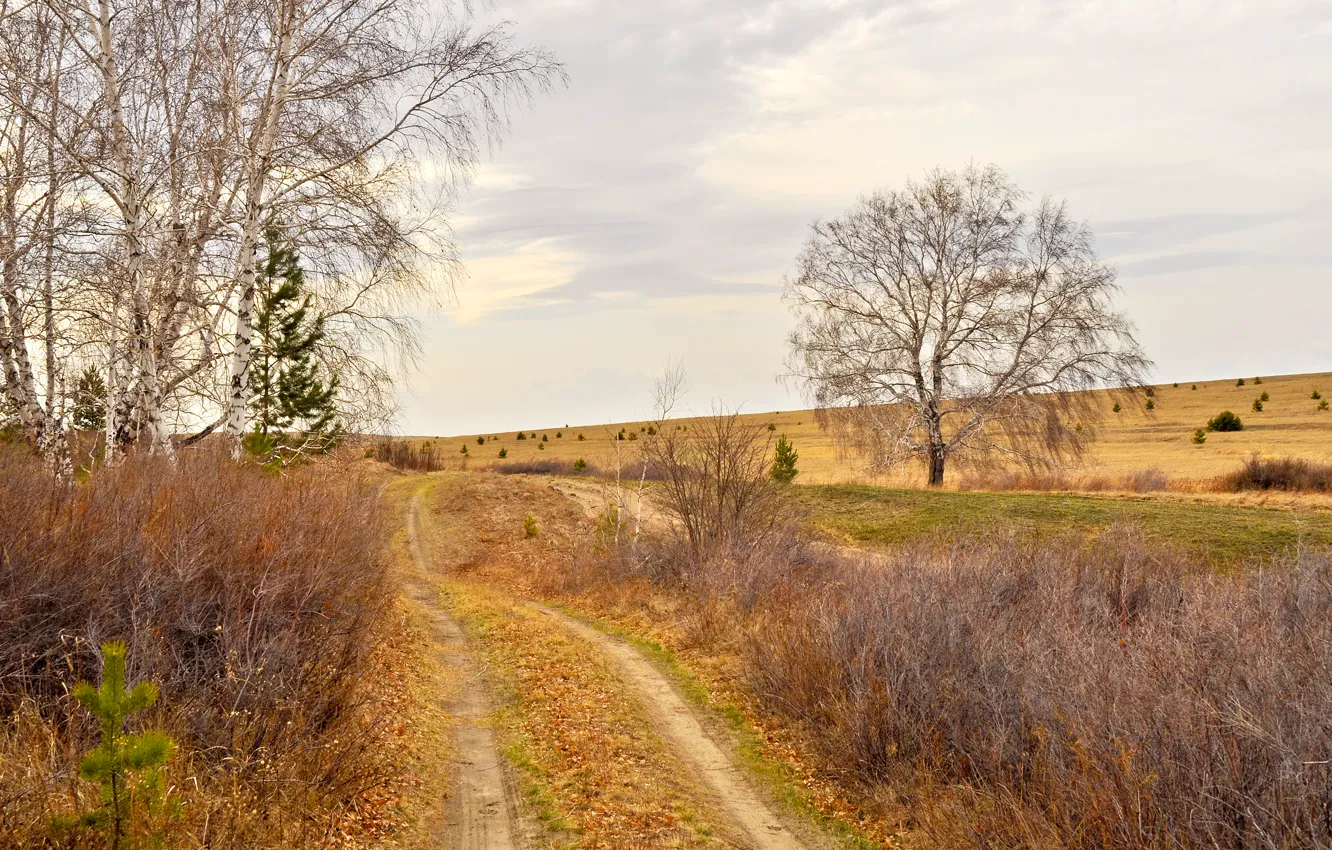 Photo wallpaper road, autumn, the sky, clouds, trees