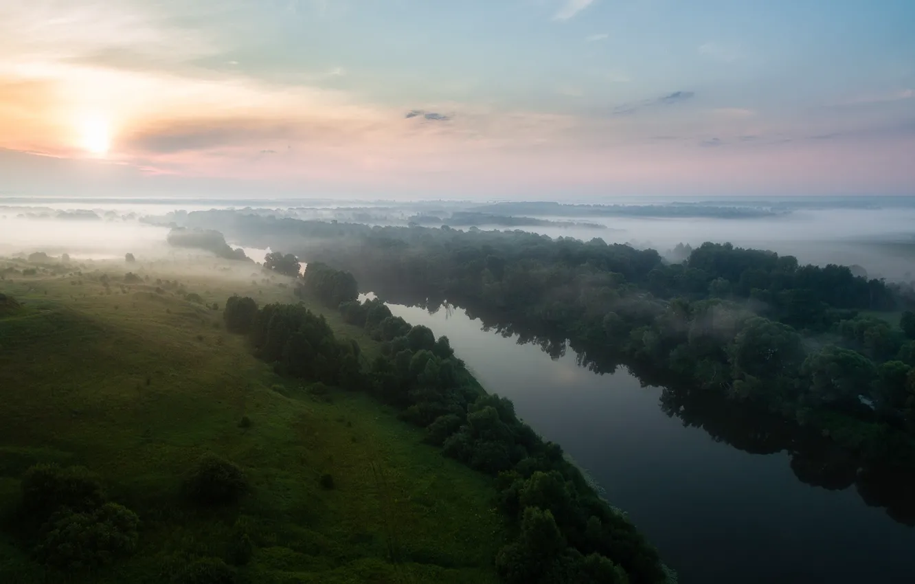 Photo wallpaper forest, fog, river, dawn, shore, morning