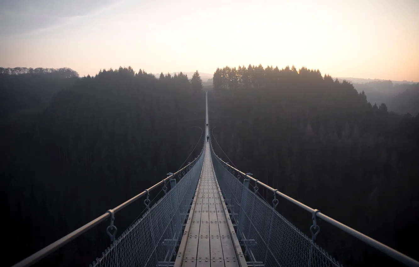 Photo wallpaper forest, the sky, nature, fog, dawn, height, horizon, forest