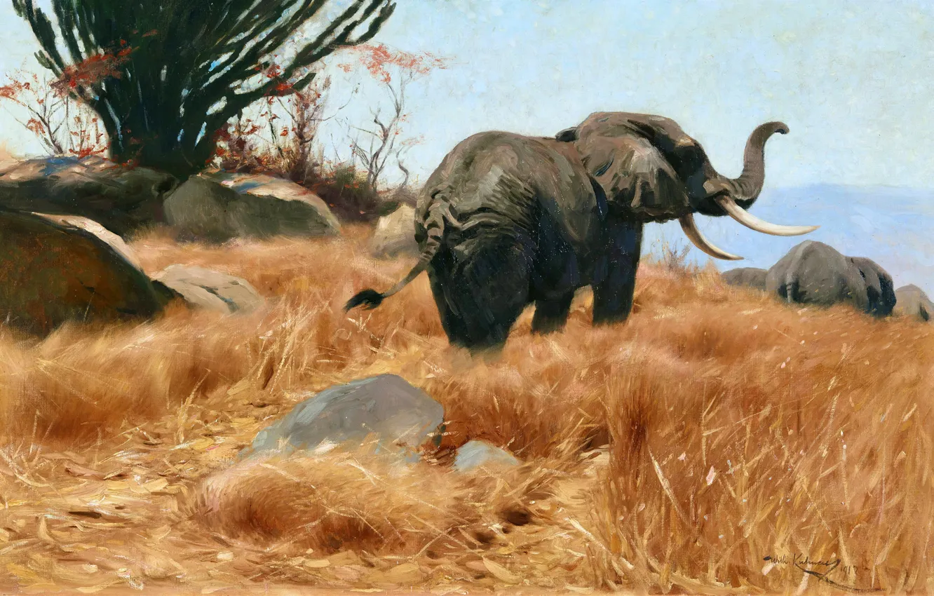 Photo wallpaper grass, elephant, picture, Friedrich Wilhelm Kunert, German painter, Friedrich Wilhelm Kuhnert, Wilhelm Kunert, Wilhelm Kuhnert