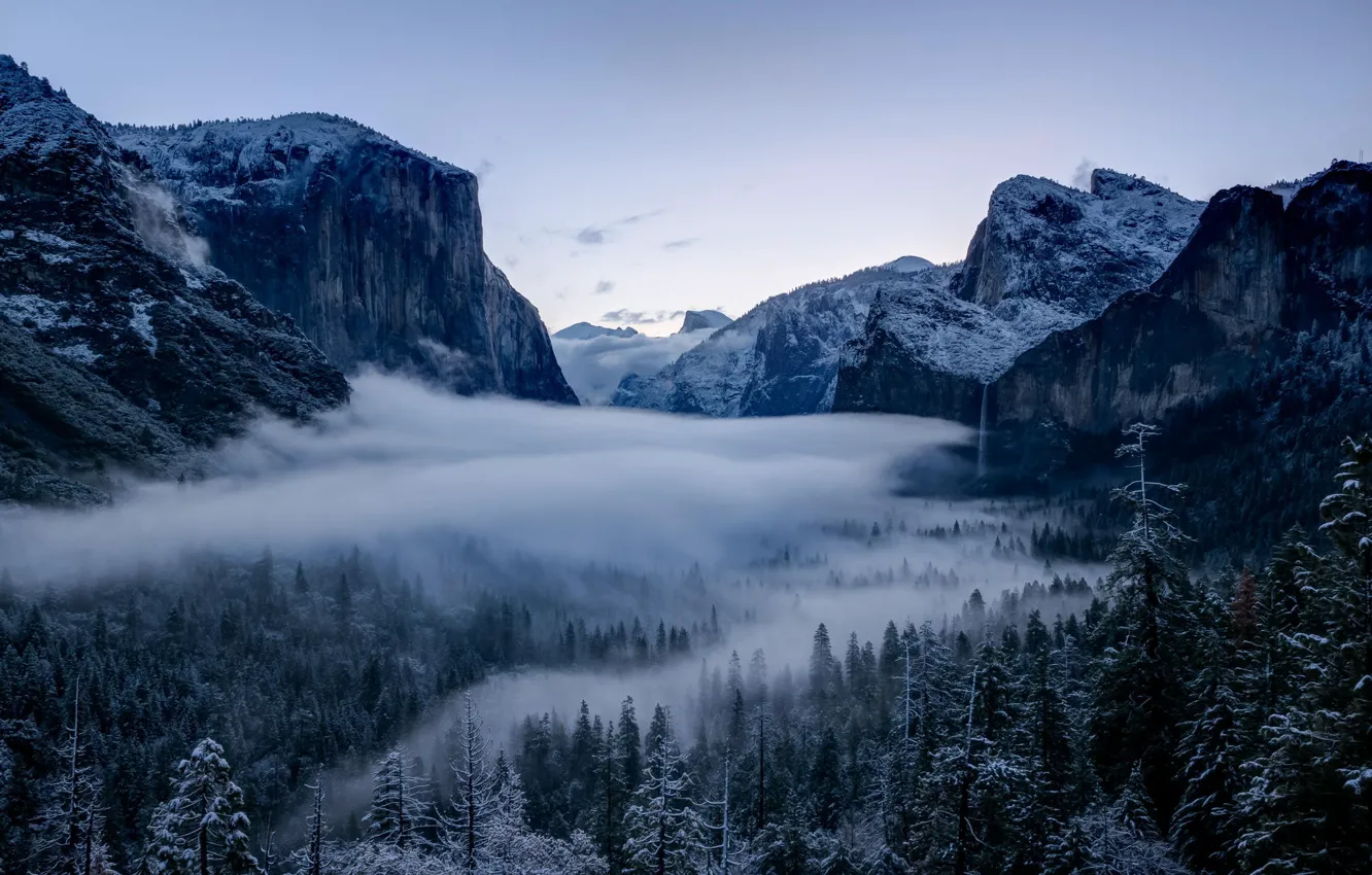Photo wallpaper winter, forest, trees, valley, CA, California, Yosemite national Park, Yosemite National Park