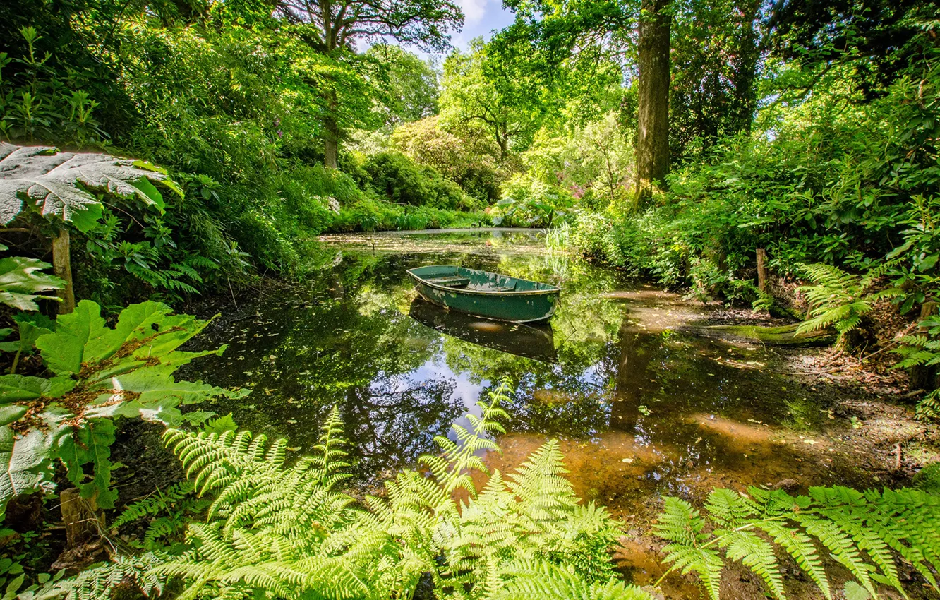 Photo wallpaper greens, the sun, trees, pond, Park, boat, England, the bushes