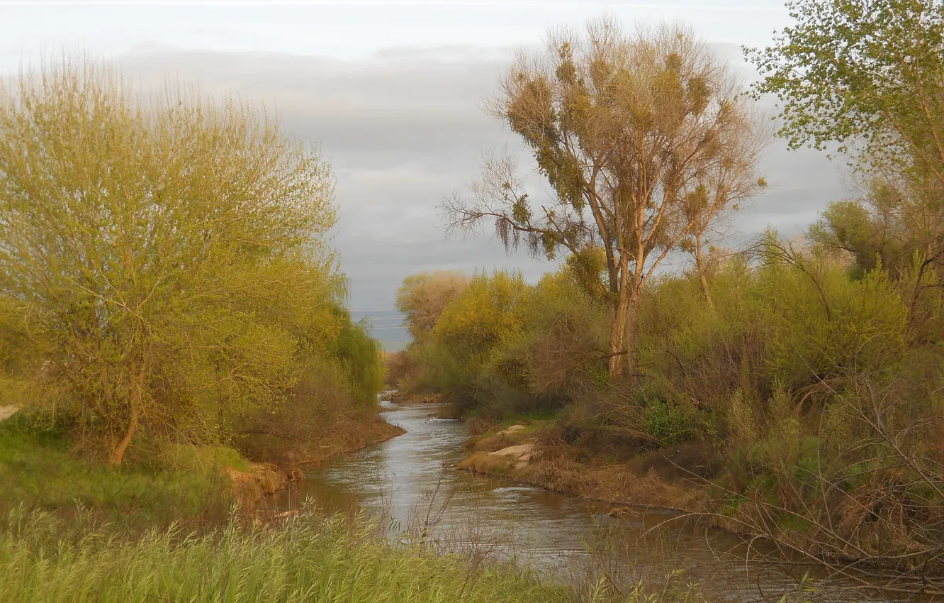 Photo wallpaper autumn, figure, art, painting, nature, art, autumn