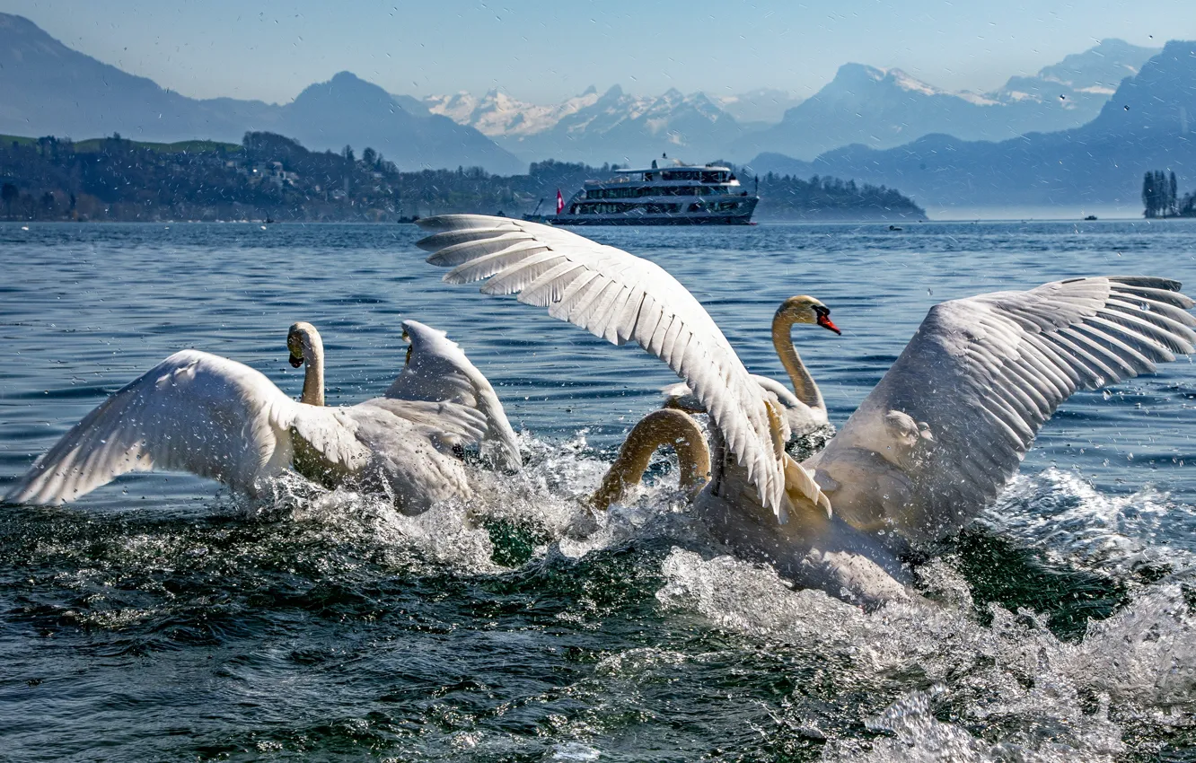 Photo wallpaper water, mountains, squirt, river, bird, shore, tops, ship