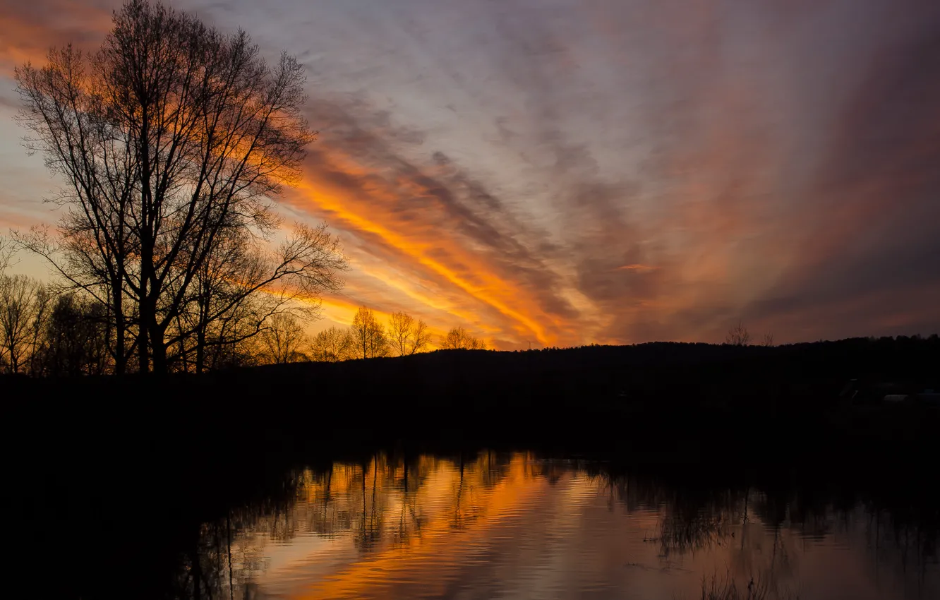 Photo wallpaper the sky, clouds, trees, lake, dawn, shadow, silhouette, dawn