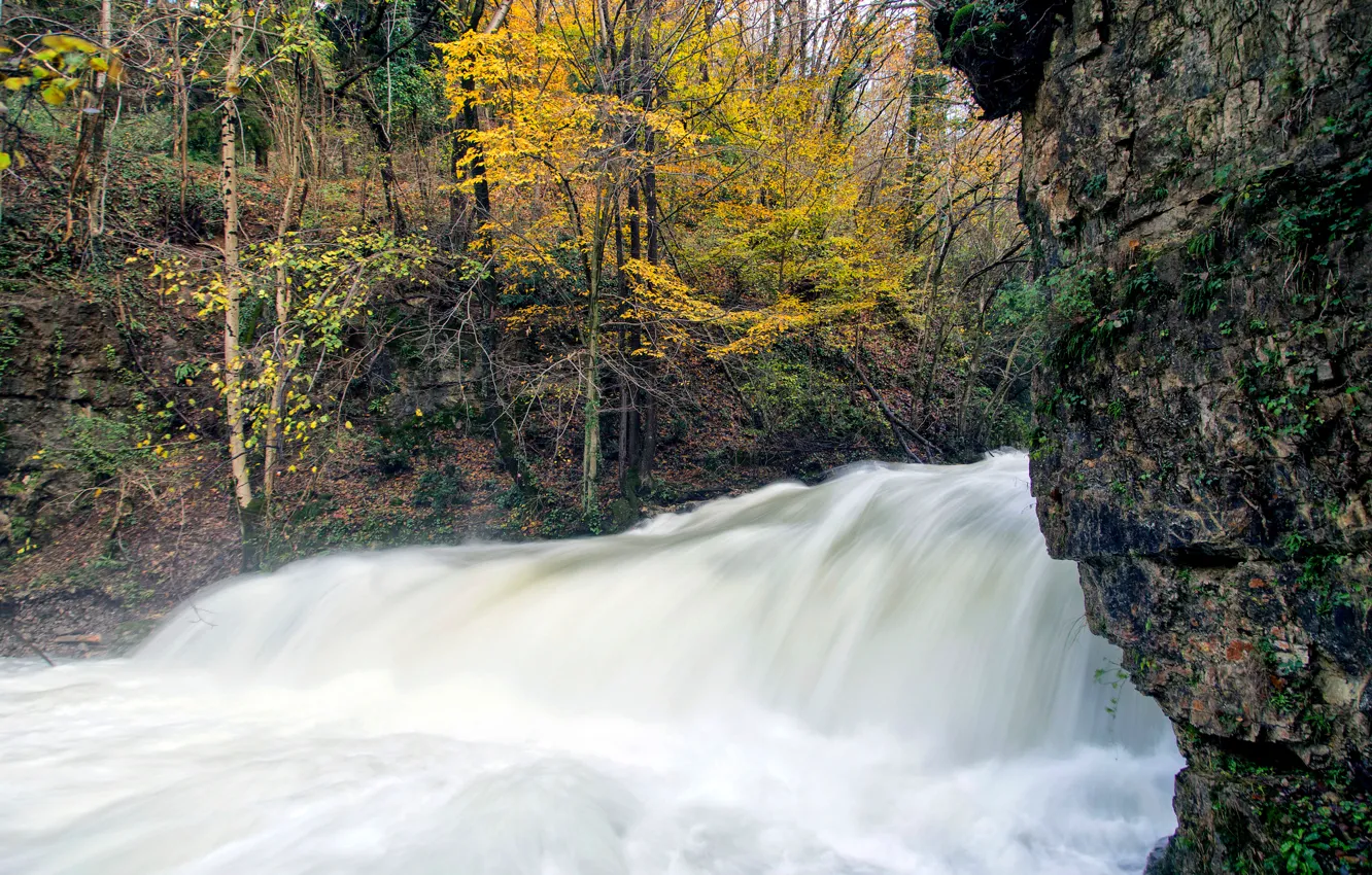 Photo wallpaper autumn, trees, river, rocks, stream