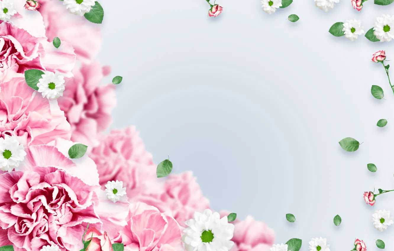 Photo wallpaper flowers, background, pink, leaves