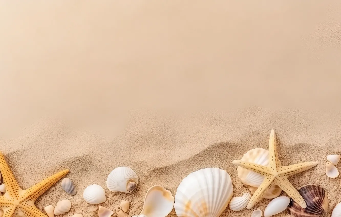 Photo wallpaper sand, beach, background, shell, beach, texture, background, sand