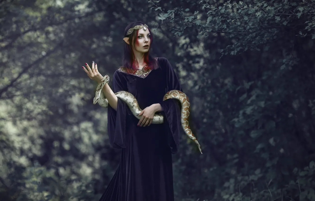 Photo wallpaper girl, elf, snake