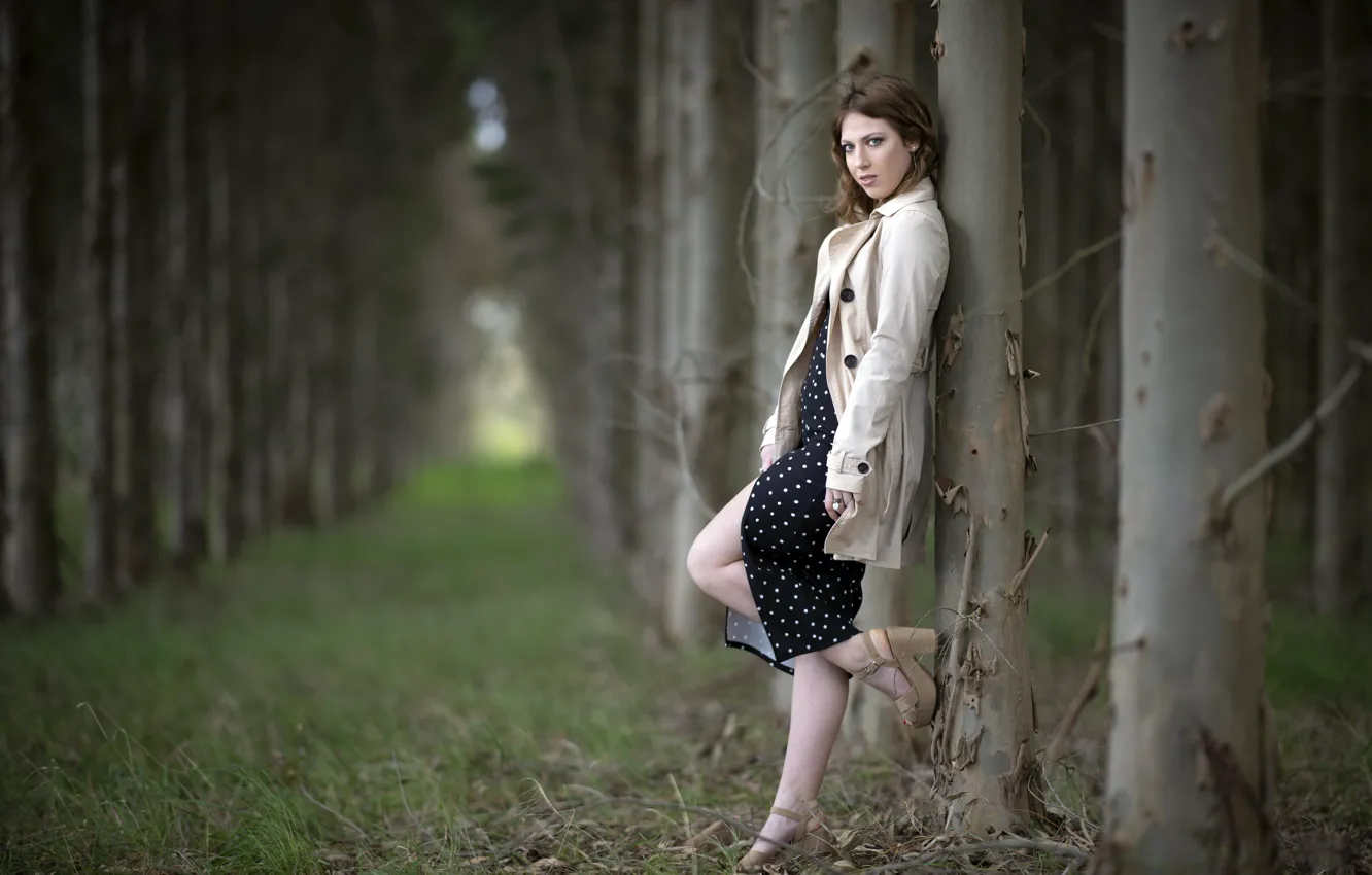 Photo wallpaper forest, girl, Elizaveta