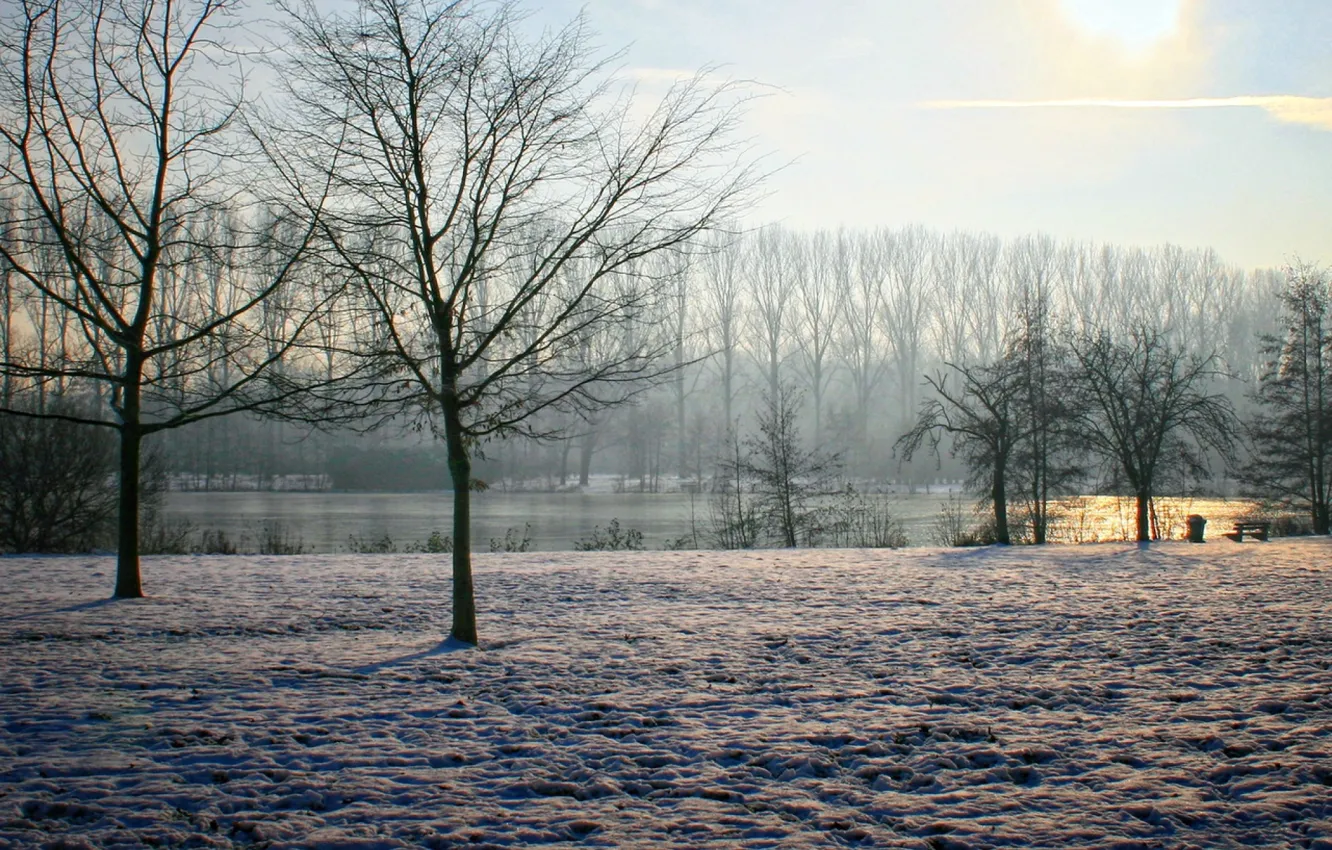 Photo wallpaper sky, trees, winter, sun, Belgium, clearly