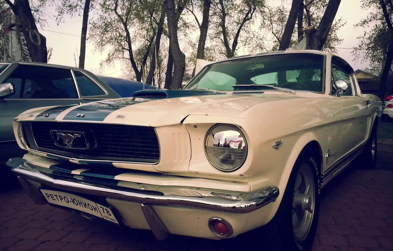 Photo wallpaper Mustang, Ford