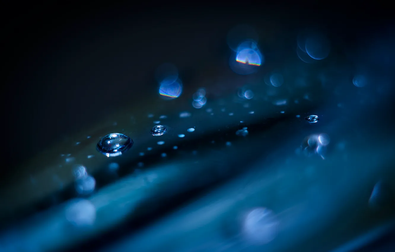 Photo wallpaper glass, drops, macro, blue, glare, background, dark