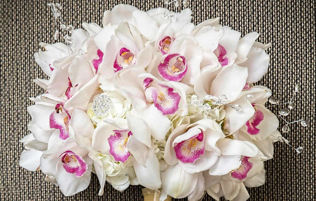 Photo wallpaper bouquet, white, Orchid