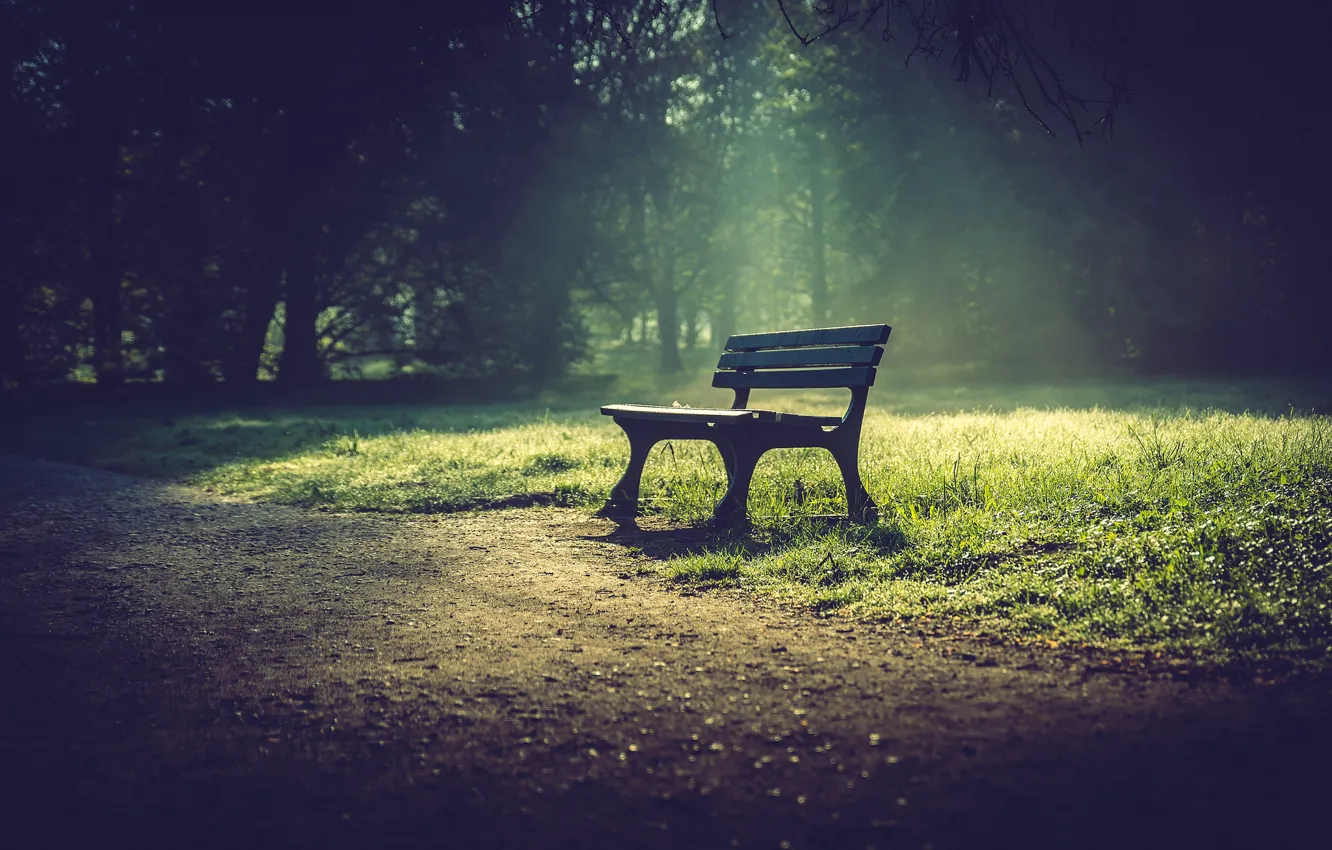 Photo wallpaper the city, Park, bench