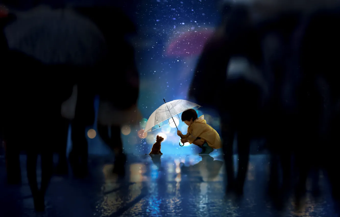 Photo wallpaper cat, children, rendering, rain, street, the evening, umbrella, boy