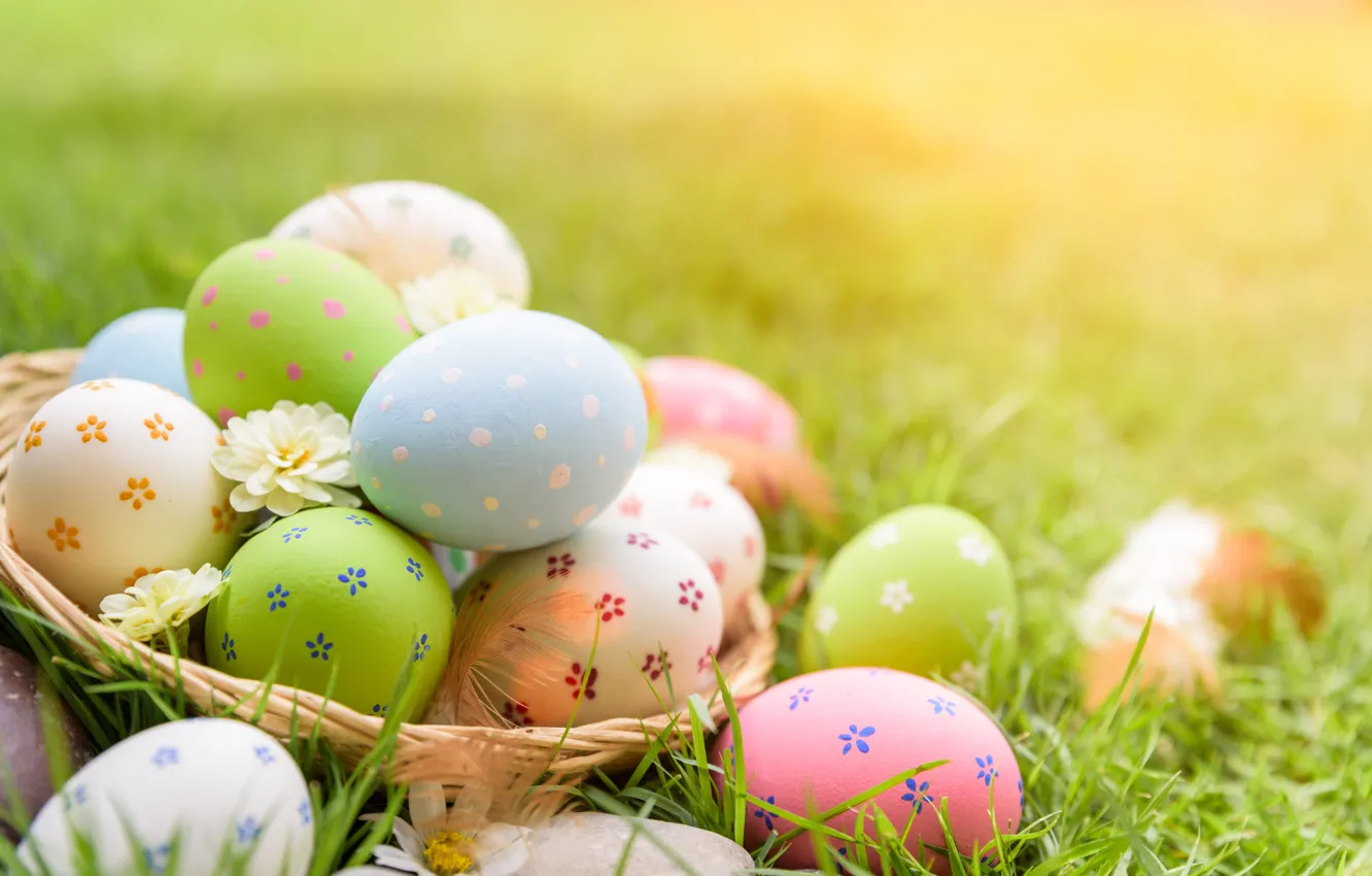 Photo wallpaper grass, flowers, eggs, Easter, flowers, Easter, eggs, decoration