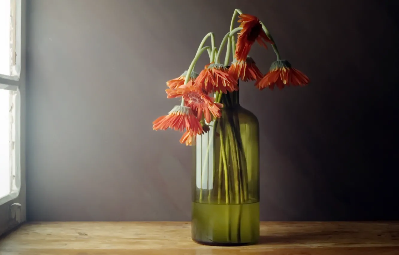 Photo wallpaper flowers, background, bottle
