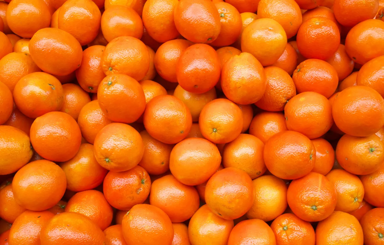 Photo wallpaper oranges, fruit, fresh, orange, fruits