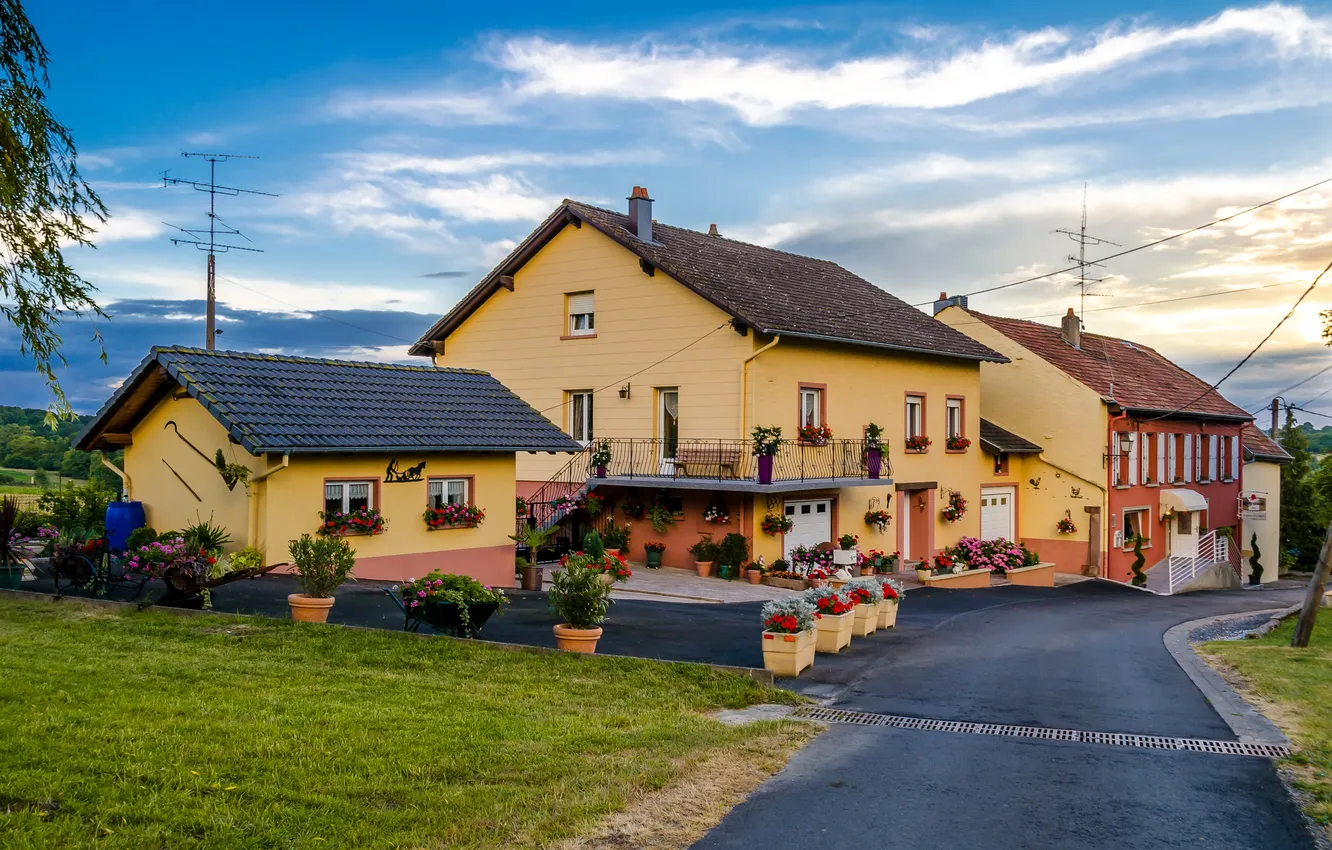 Photo wallpaper road, grass, landscape, flowers, lawn, France, home, Haut-Clocher