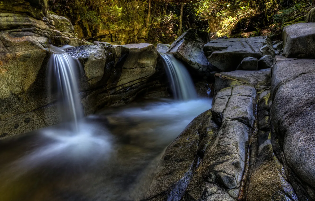 Photo wallpaper forest, nature, stones, waterfall