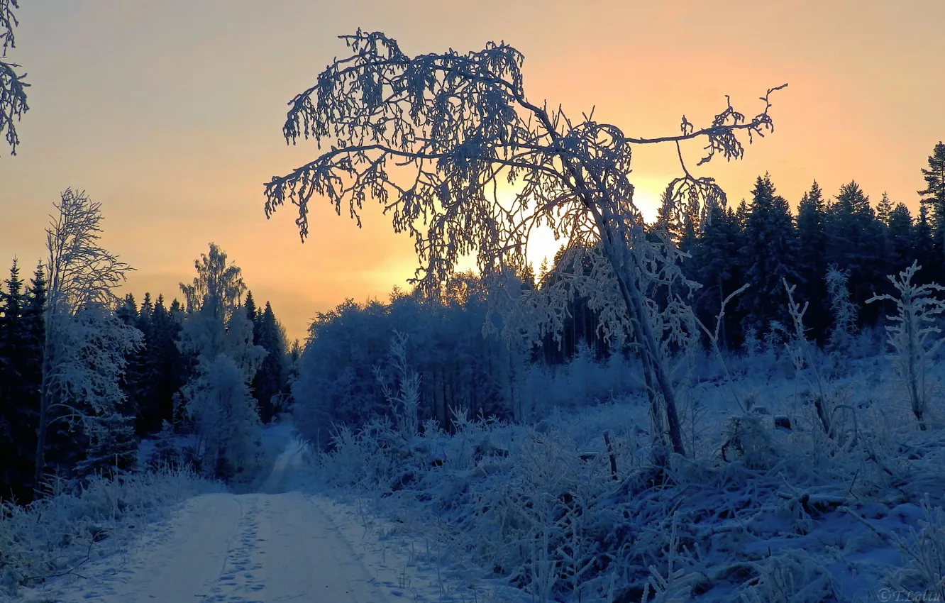 Photo wallpaper winter, road, snow