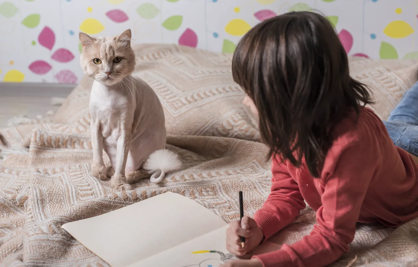 Photo wallpaper cat, girl, notebook