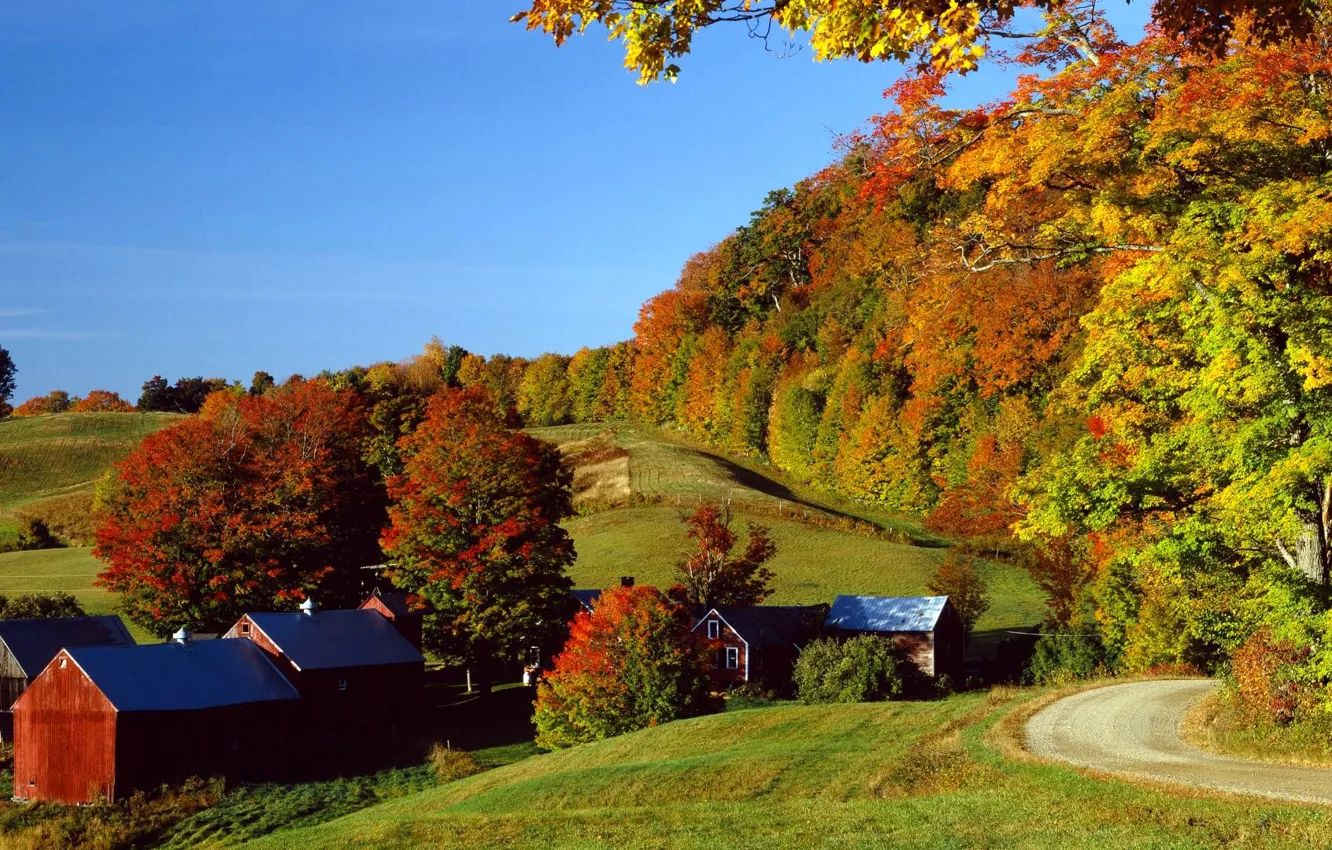 Photo wallpaper autumn, forest, the sky, trees, home