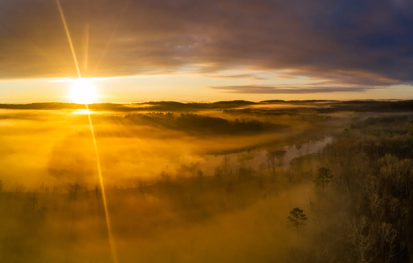 Photo wallpaper the sun, light, trees, fog, river, dawn, hills, shore