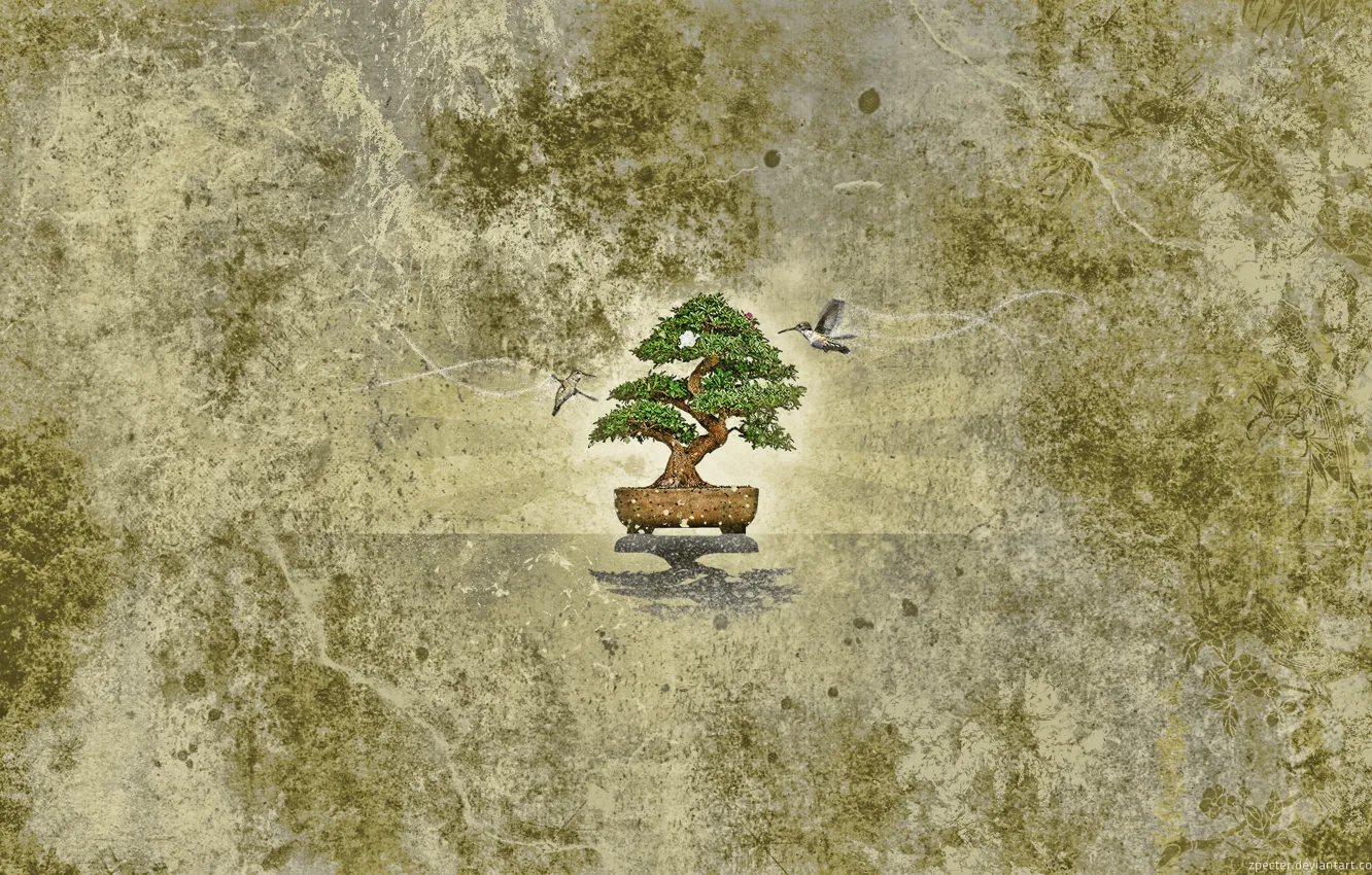 Photo wallpaper trees, bird, bonsai, texture, Hummingbird