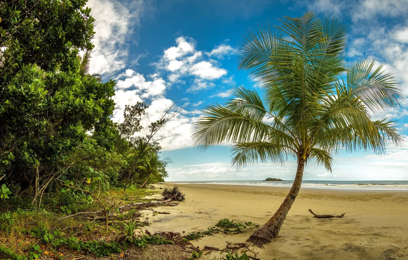 Photo wallpaper beach, tropics, palm trees