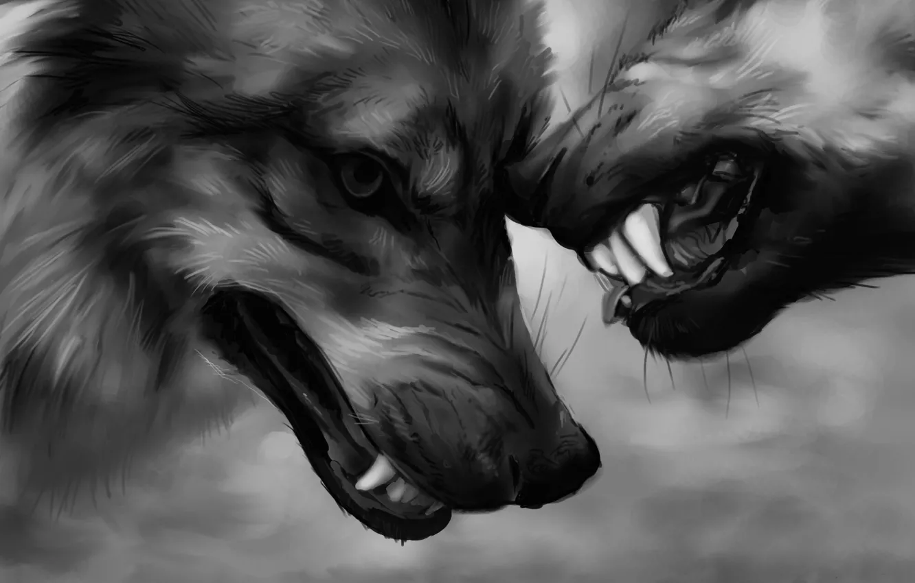 Photo wallpaper power, fangs, wolves, aggression, power