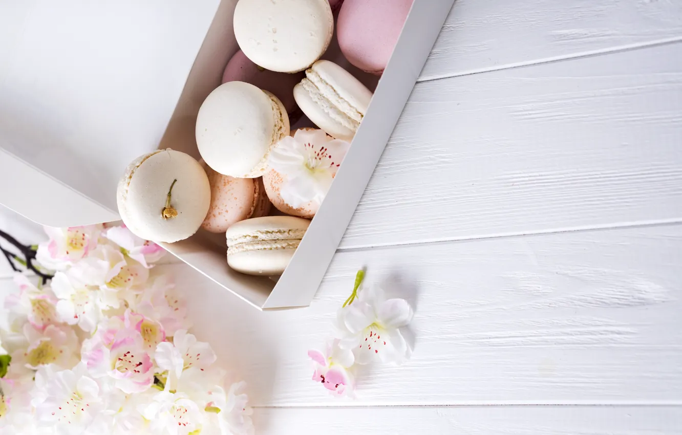 Photo wallpaper white, pink, flowers, french, macaron, pastel, macaroon