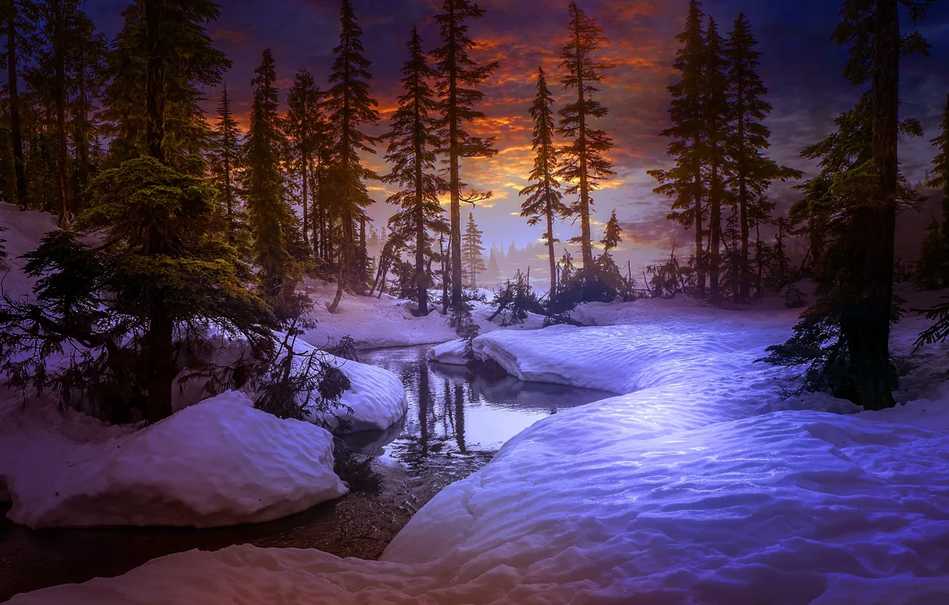 Photo wallpaper winter, forest, trees, sunset, river