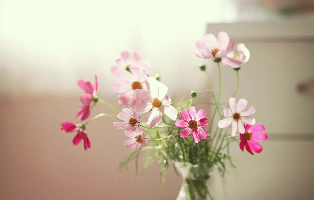 Photo wallpaper light, flowers, background