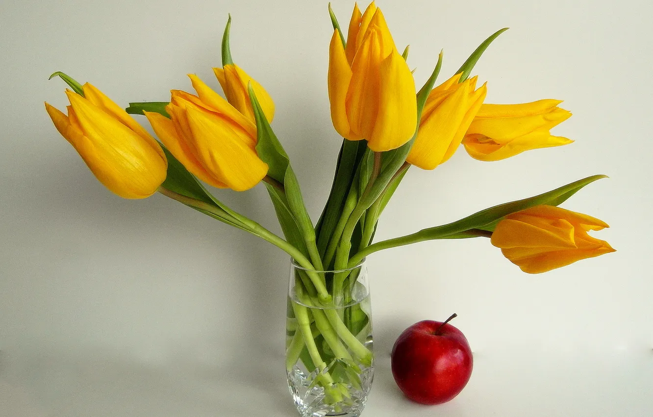 Photo wallpaper Apple, tulips, vase, still life