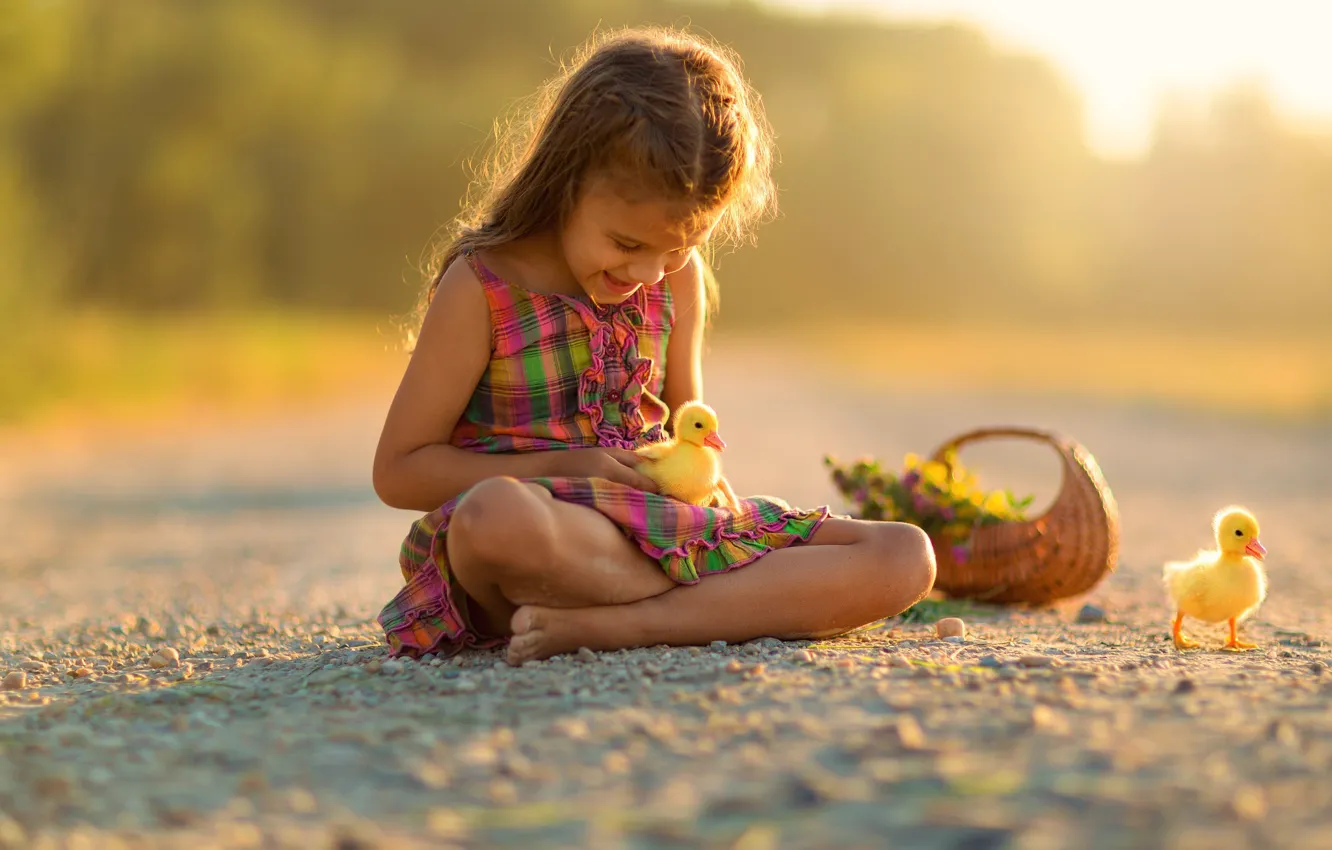 Photo wallpaper flowers, children, basket, dress, girl, duck, Chicks