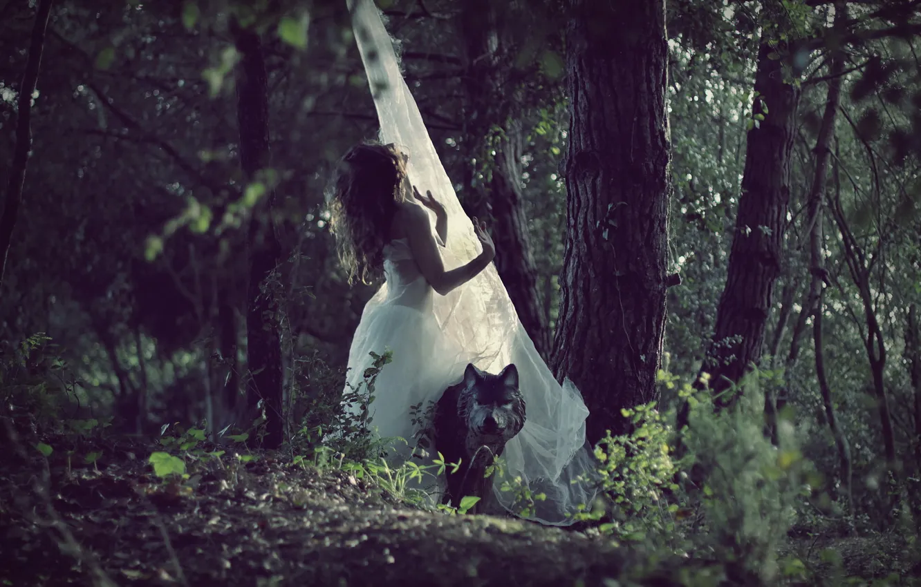 Photo wallpaper forest, girl, wolf